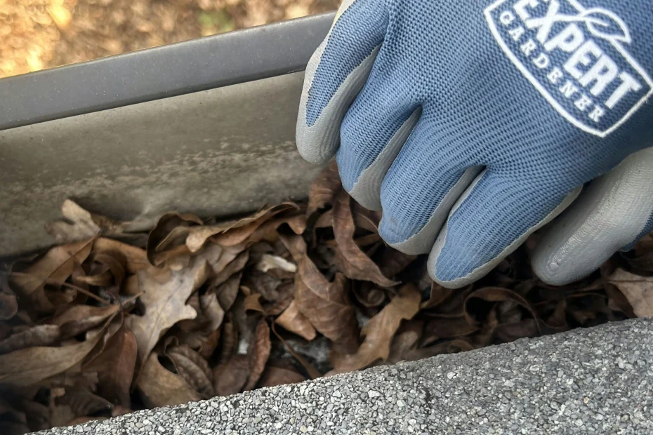 Gutter Cleaning Akron